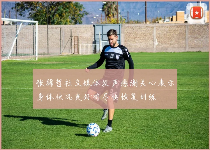 张稀哲社交媒体发声感谢关心表示身体状况良好将尽快恢复训练