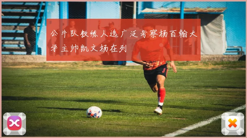 公牛队教练人选广泛考察杨百翰大学主帅凯文杨在列