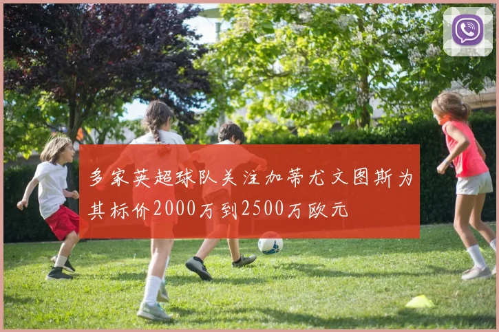 多家英超球队关注加蒂尤文图斯为其标价2000万到2500万欧元