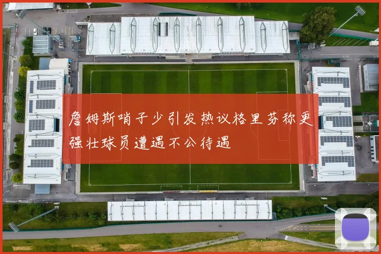 詹姆斯哨子少引发热议格里芬称更强壮球员遭遇不公待遇